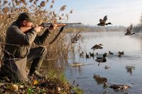 В Волгоградской области свдинули сезон охоты на птиц