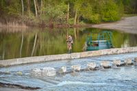 В Волгоградской области «пошла на поправку» краснокнижная шемая. Но ловить ее все равно нельзя