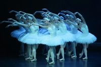 174 волгоградских артистов вышли досрочно на пенсию