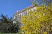 Синоптик рассказала, какой погодой Волгоград проводит первый месяц весны