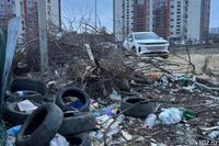 Реализм в «грязном» виде: в Волгограде улица живописца Репина потонула в завалах мусора