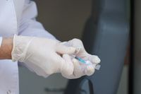 Волгоградцев предупредили о рисках заражения опасным клещевым энцефалитом