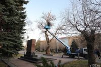 Роспатент зарегистрировал новый бренд «Сталинградский тополь»