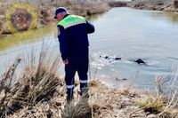 Водолазы искали улики на дне реки под Волгоградом