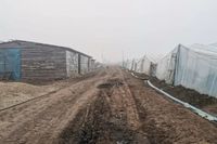 В Волгоградской области нашли загаженное пленкой  поле