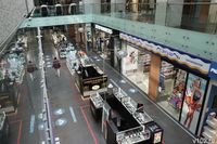 257 волгоградцев пожаловались на нарушения прав потребителей