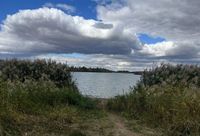 Пруд в Волгоградской области незаконно отдали бизнесменам
