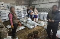 Под Волгоградом задержали трудящихся на овощехранилищах мигрантов-нелегалов