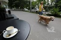 «Договориться о скидке было невозможно»: волгоградские поставщики продуктов начали битву за предпринимателей