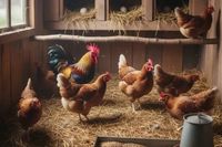 Волгоградку через суд заставили убрать курятник с дачного участка