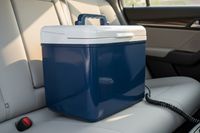 Облдума покупает себе и избирателям автохолодильники