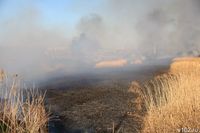 Крупный ландшафтный пожар разгорелся на западной окраине Волгограда