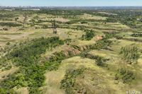 В Волгоградской области чиновники пообещали за месяц высадить 2,7 млн деревьев