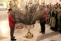 Вербное воскресенье за неделю до Пасхи: где освятить вербы в Волгограде