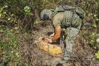 В Волгограде и области нашли две авиабомбы