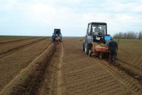 В Волгоградской области на 760 га высадят 2,7 млн деревьев