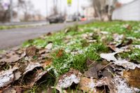 МЧС России предупредило волгоградцев о трёхдневных заморозках