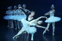 В «Царицынской опере» прошли особые показы легендарного балета