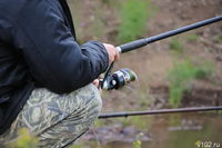 В Волгоградской области запретили вылов рыбца и судака: все виды ограничений для рыбаков