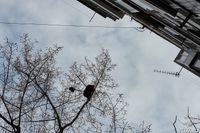 Мог отрабатывать трюки: что известно о падении 12-летнего с крыши дома в Волгограде