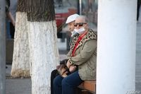 Стало известно расписание 12 дачных маршрутов Волгограда