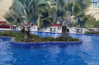 Волгоградцы рискуют заразиться «заморскими» лихорадками в отпуске