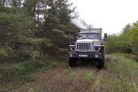 Волгоградцам назвали новую причину отказа от лесных прогулок