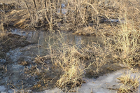 На юге Волгограда завод наказали на 1,2 млн рублей за сброс стоков