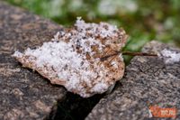 МЧС предупреждает волгоградцев о заморозках до -3 градусов