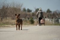 Регионы России объявляют нерабочим днем 21 апреля