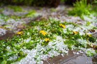 Дожди с грозами снова обещают волгоградцам 11 апреля