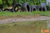 Волгоградцев предупредили о штрафах за лебедей из покрышек
