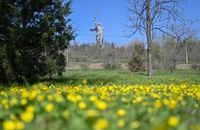 Волгоградцев ждет короткая передышка на дождливой неделе