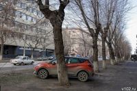 Ради зелени? В Волгограде власти незаконно «автоматом» выписывали штрафы за парковку