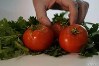 В Волгограде продолжают дорожать свежие помидоры и огурцы