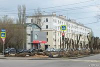 «Что ж за страсть-то такая?» В Волгограде под топором коммунальщиков облысели десятки деревьев