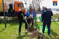 В Волгограде за утро убрали больше двух тысяч кубометров мусора