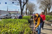 Волгоградские коммунальщики вместе с семьями навели лоск на проспекте Ленина