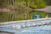 «Вода пошла хорошим потоком»: ихтиолог оценил шансы на нерест рыбы в Волго-Ахтубинской пойме