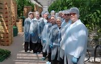 Шаг в будущее:  волгоградские школьники побывали с экскурсией в теплицах  АО «СП «Заря»