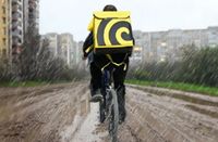 Водители и курьеры остались самыми востребованными для волгоградских компаний