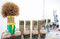 Волгоградская область внедряет российские сорта и технологии в сельском хозяйстве