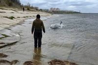 На севере Волгограда спасли потерпевшего бедствие на лодке мужчину