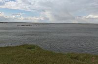 Под Волгоградом прочесывают 12-километровый берег Волги в поисках пропавшего рыбака