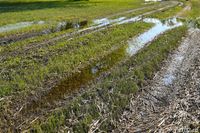 Оранжевый уровень погодной опасности продлен в Волгоградской области