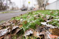 Волгоградцев предупредили о переувлажнении почвы, заморозках и сильном ветре