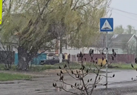 На севере Волгоградской области 27 апреля выпал снег