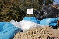 В Волгограде стартовал новый сезон видеоохоты на эконарушителей