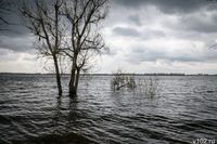 «Видимость практически нулевая»: под Волгоградом четвертые сутки ищут пропавшего в шторм рыбака