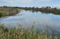 В Волгоградской области расчистят 12 километров русла реки Торгун